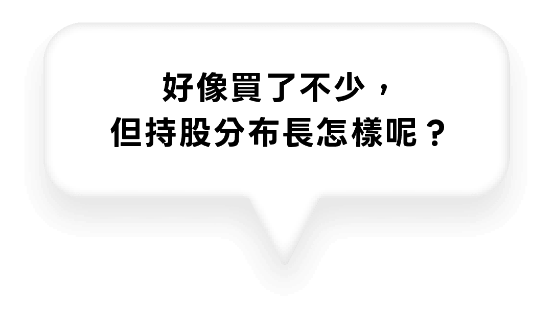 好像買了不少， 但持股分布長怎樣呢？